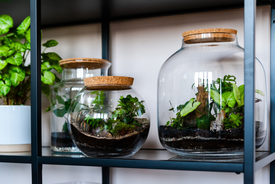 Indoor Garten Gärtnern mit Indoor Garden System Zuhausewohnen
